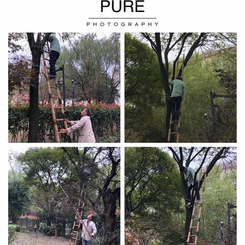阳光假日一周工作影集