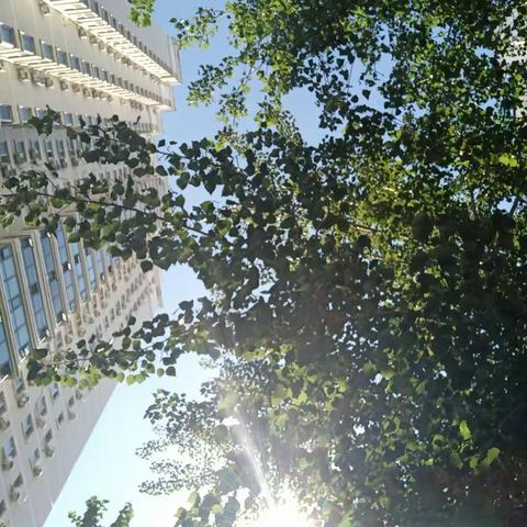 手抖帕金森观察的美篇