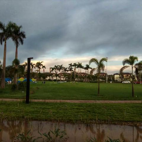 走进东盟生态园所拍