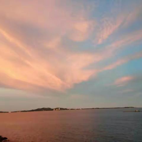 🎊🎆三墩码头看海景🎇🎈