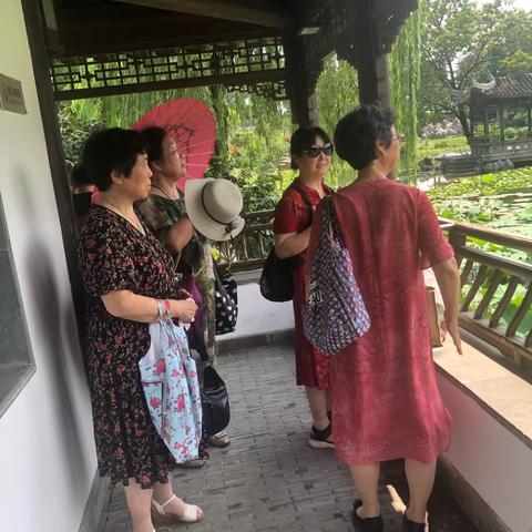 素华的美篇