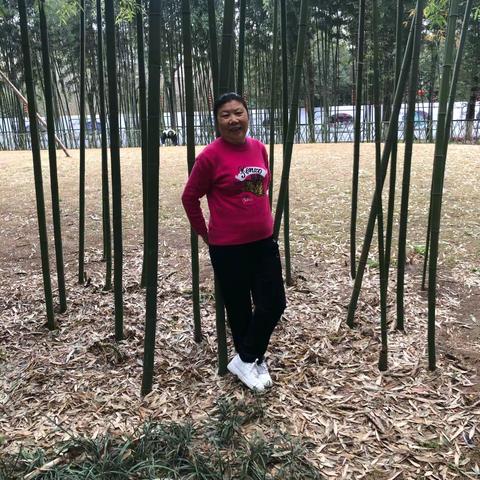 素华的美篇