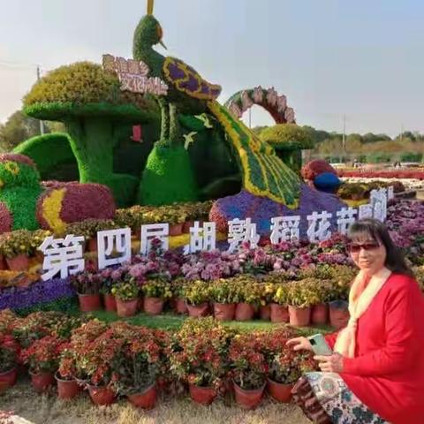 素华的美篇