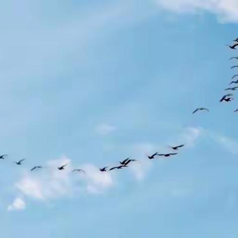 南乡一剪梅·立冬