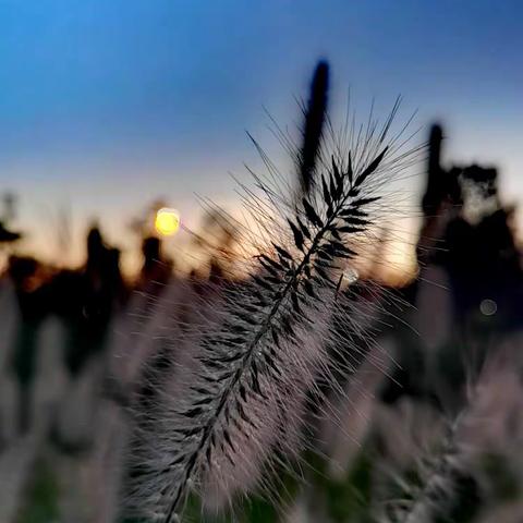蝶恋花·七夕