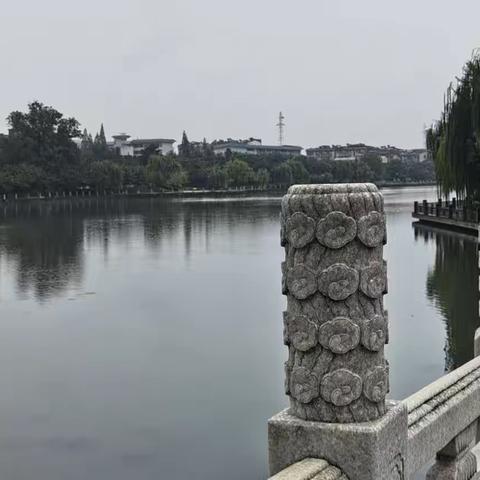 南方的雨