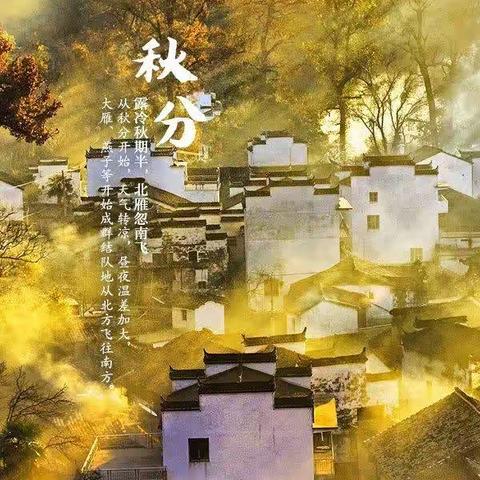 秋收“丰”景，庆丰收，迎盛会——邯郸市实验小学“中国农业丰收节”庆祝活动