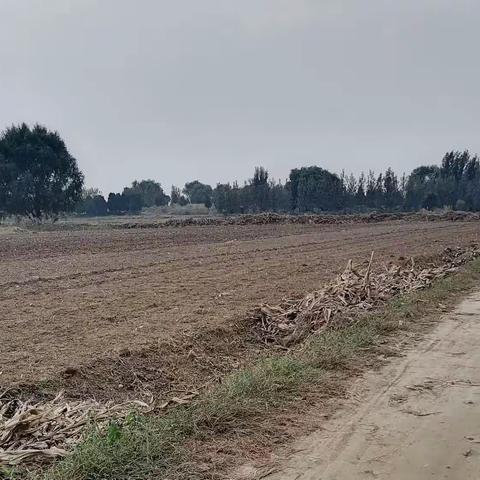 田野里的秋，播种小麦了