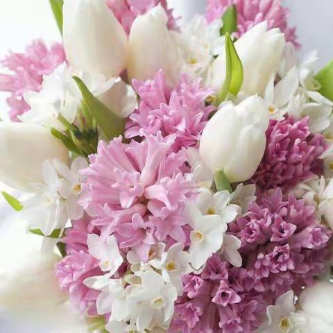 清静淡雅，诗情画意。