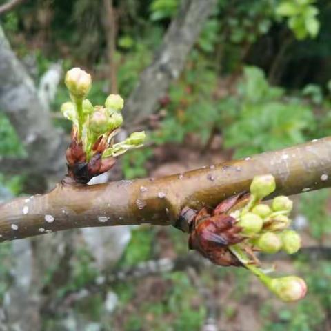 春风化雨 处处皆有美