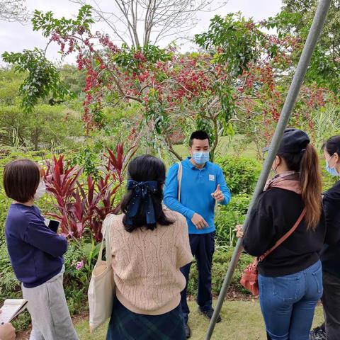 记跟叶老师打卡香蜜公园之收获