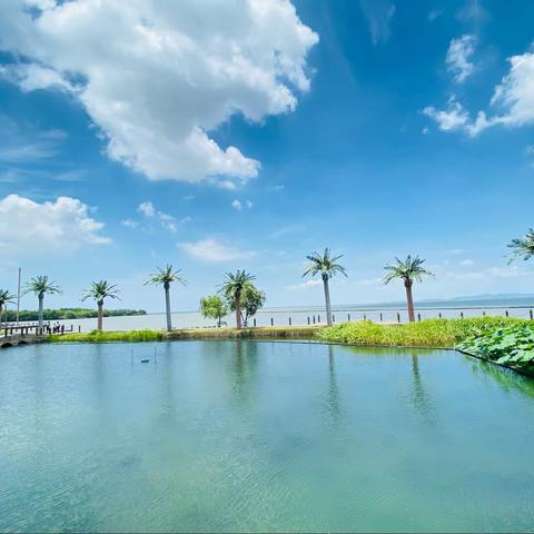 七月三号游湖州太湖，湖州影视城.长兴大唐贡茶院。