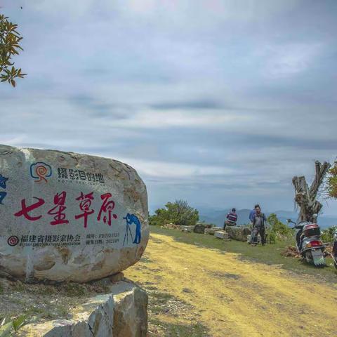 ＿＿＿南国七星草原＿＿＿