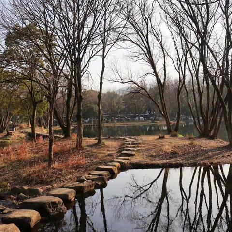 茅家埠冬季（2）