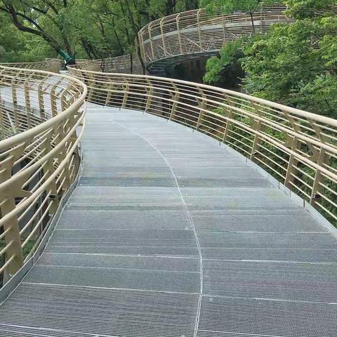 春满福道20200422