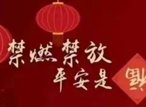 禁燃烟花爆竹，健康安全过新年——秣陵一中