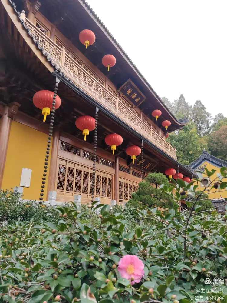 杭州上天竺超度法事-杭州上天竺立超度牌位一年多少钱