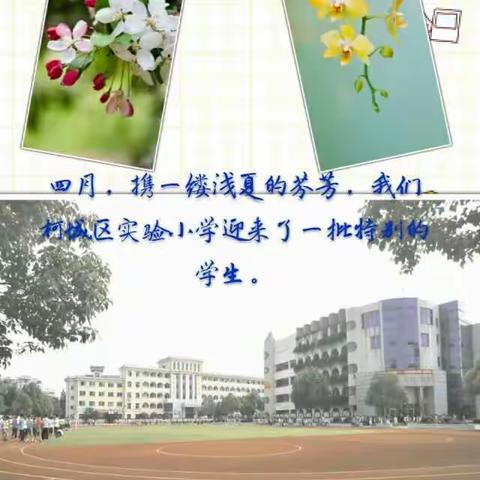 在爱的阳光下快乐成长——柯城区实验小学一年级家长开放日