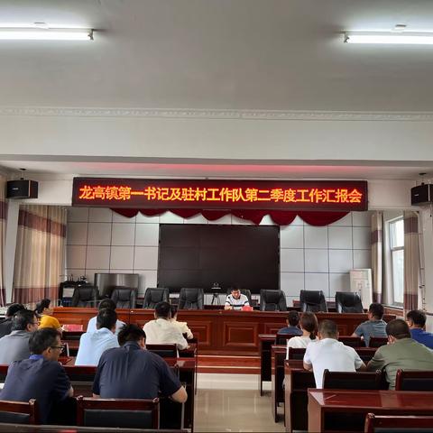 龙高镇召开第一书记及驻村工作队第二季度工作汇报会