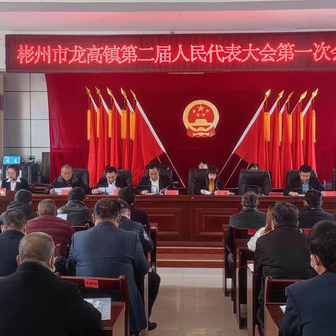 彬州市龙高镇第二届人民代表大会第一次会议胜利召开