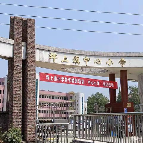 2022年坪上镇小学青年教师培训