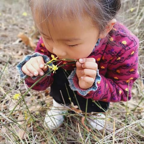 我和春天有个约会——孔村镇社区幼儿园开展寻找春天主题活动