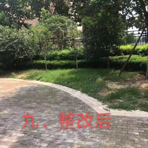 龙信社区整改情况2020.7.16