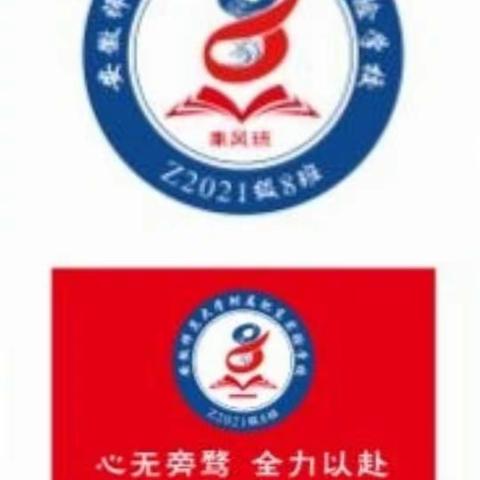 安徽师范大学附属肥东实验学校七（8）班2021—2022学年度第二学期班级工作总结》