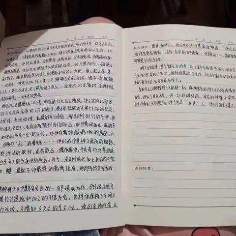 精英组作业总结