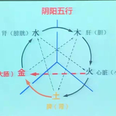 秋季养肺2018915