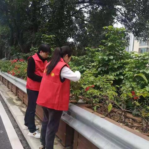 茶园街道洋四社区巡河护河志愿活动