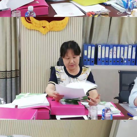 喜迎检查，督促提升———记南京书人阅景龙华幼儿园民办园年审、区督学双检查