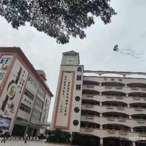 【品质·课堂】人间四月芳菲尽，山寺桃花始盛开——虎门成才实验学校小学部中语组第12周教研活动