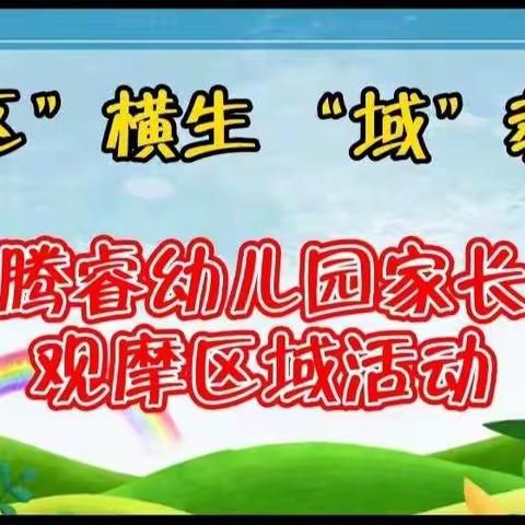 妙“区”横生 “域”教于乐——腾睿幼儿园家长区域观摩活动