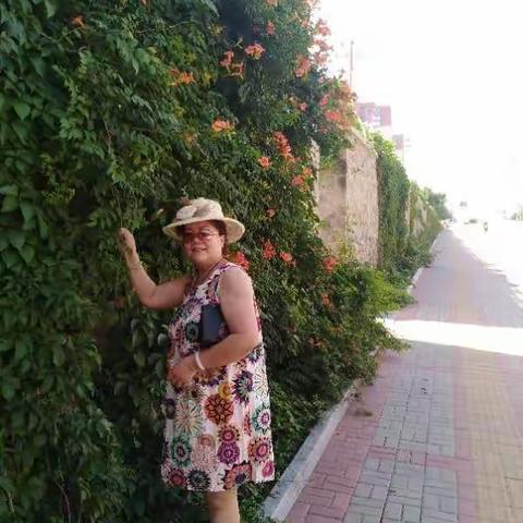 二0一八年七月二十八日天津女儿美景如画的小区留影