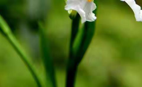 求质量未雨绸缪，深课改提升素养!