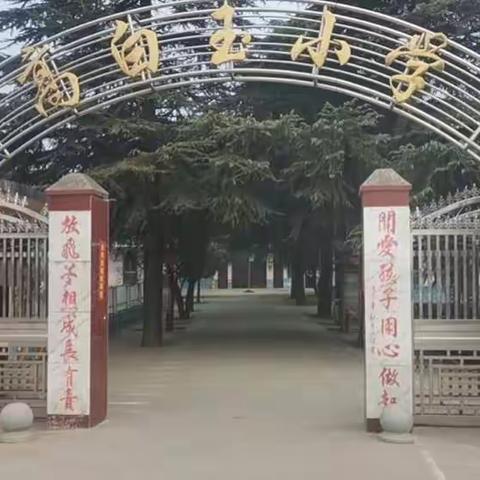 五龙镇高白玉小学寒假安全教育