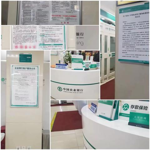 本溪分行营业部开展2022年学雷锋金融宣传活动