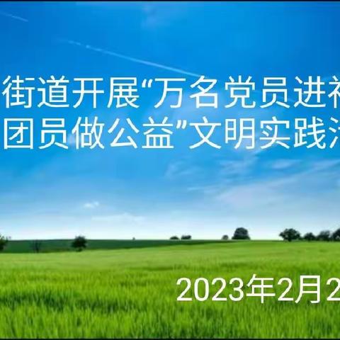 桃园街道开展“万名党员进社区 万名团员做公益”文明实践活动