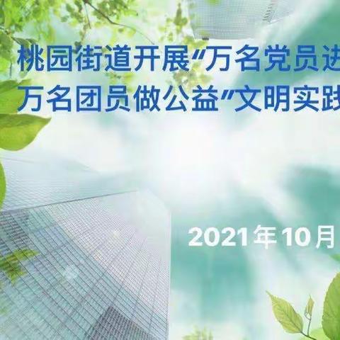 桃园街道开展“万名党员进社区 万名团员做公益”文明实践活动