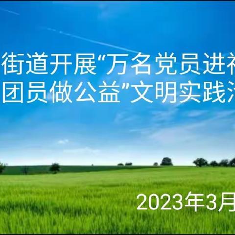 桃园街道开展“万名党员进社区 万名团员做公益”文明实践活动