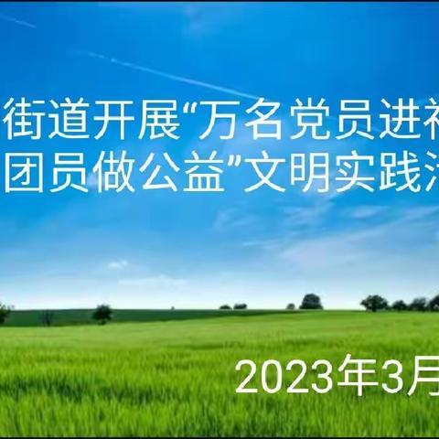 桃园街道开展“万名党员进社区 万名团员做公益”文明实践活动