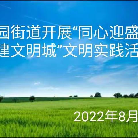 桃园街道开展“同心迎盛会 共建文明城”文明实践活动