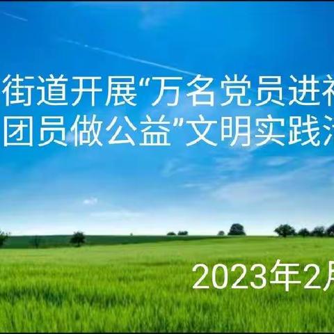 桃园街道开展“万名党员进社区 万名团员做公益”文明实践活动