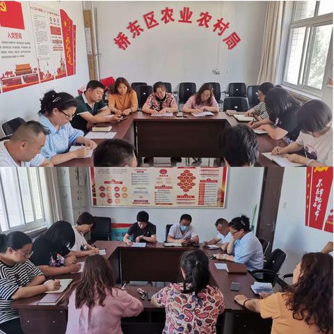 桥东区农业农村局周五例会