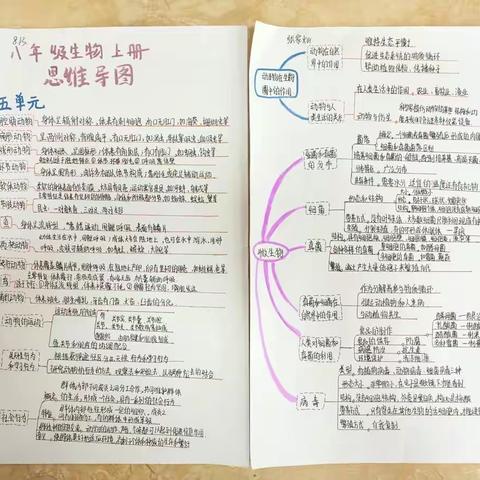 【长安二初】绘制思维导图，构建知识网络——八年级寒假生物学科作业展