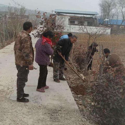 珍爱我们共同的家园