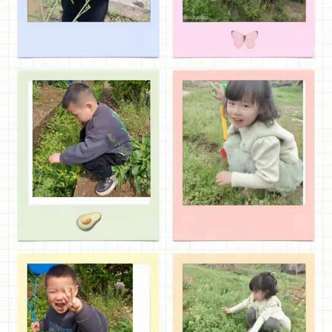 “寻觅春的足迹"----四季系列(一)                   －－  崇雒中心幼儿园