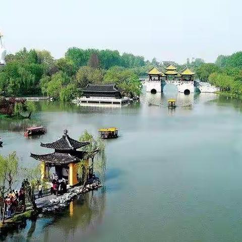 烟花三月赏美景·南京·千垛油菜花 四日游