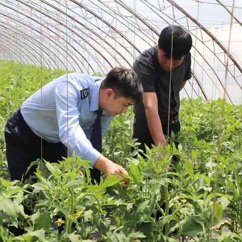 “税惠到农村，农民乐开花” ——涧峪岔分局开展税费宣传到农村活动